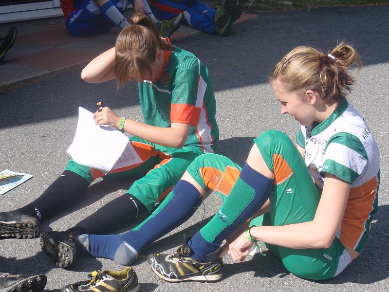 Leimaus2010 003.jpg